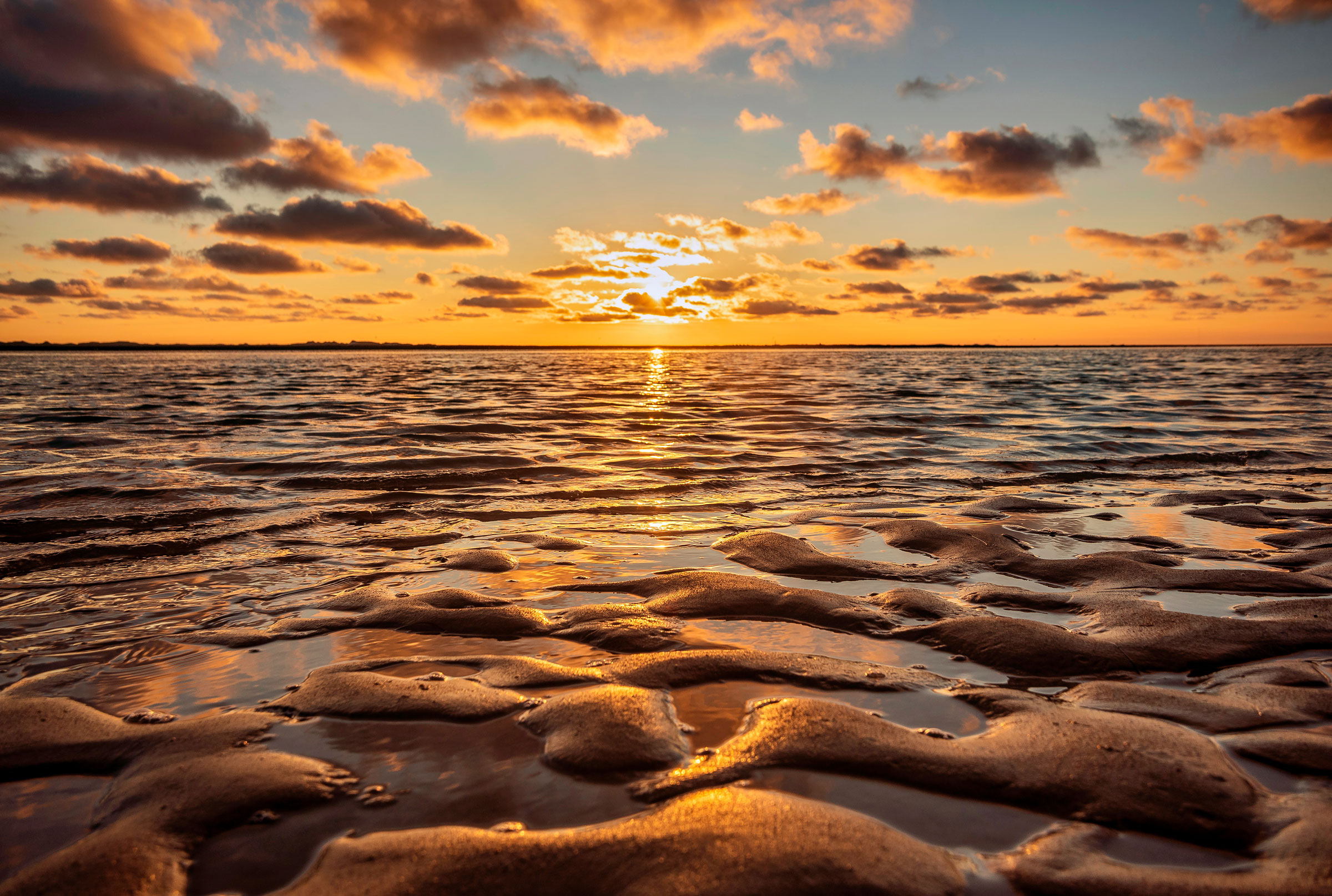 Waddeneilanden